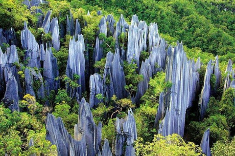 3 Day Private Relaxing Tour of Kunming including Stone Forest  Private Tours and Travel Guide Asia Shanghai CITY Kunming Destination Tour Asia Shanghai CITY Kunming