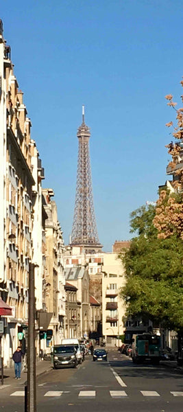 Family  House in  Quiet Typical Parisian Quartier close the Metro Vaugirard, to  Paris, France Central Real  Family House, 5 min Eiffel Tower! Entire home vacation rental 29916120
