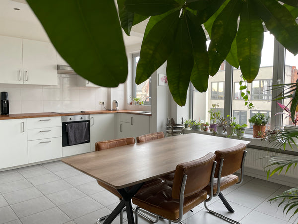 Vanuit deze perfect gelegen thuisbasis ligt alles binnen handbereik. Antwerp, Belgium Mooie condo in vlakbij het station Entire condo vacation rental 704704730401077018