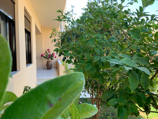 City center house with veranda & private garden + parking space<br /><br /><b>Th Chania, Greece Antonis' Chania City House Entire home vacation rental 44412819