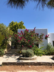 Magnifique maison avec un grand jardin et une belle terrasse face à la mer .<br  Paris, France Beach house Cycladic home vacation rental 47082788