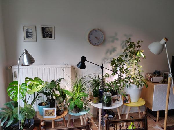 cozy comfortable  apartment in Brussels in the green beautiful neighborhood of W Brussels, Belgium Cozy warm apartment  in Brussels Private room in rental unit vacation rental 45108057