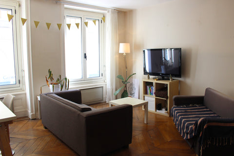 Agréable nid douillet pour une famille au coeur de la presqu'île lyonnaise.<br / Dijon, France Nid douillet familiale en plein coeur de Lyon Entire rental unit vacation rental 39947228