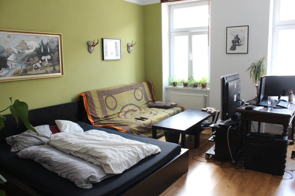 Hey there,<br /><br />If you want to enjoy a stress less stay in vienna  you hav Vienna, Austria Quiet Flat near Schönbrunn Entire rental unit vacation rental 6979826