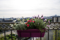 Amazing view, sunset-orientated living room and balcony . 54m2 flat (5th floor), Paris, France Stunning view over the city Entire rental unit vacation rental 12881963
