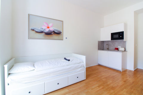 A spacious, bright, and fully furnished apartment in an excellent location in th Prague, Czechia Bouquet apartment 309 Entire rental unit vacation rental 39592418