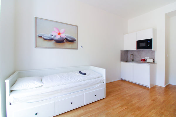 A spacious, bright, and fully furnished apartment in an excellent location in th Prague, Czechia Bouquet apartment 209 Entire rental unit vacation rental 39591681