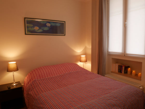 Private bedroom for two with its own modern bathroom and separate access in the  Paris, France Independent bedroom and bathroom in Bastille! Private room in rental unit vacation rental 23158726