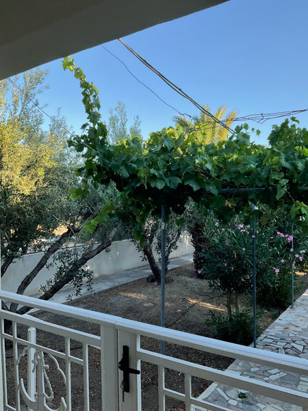 Ideal house for the perfect vacation. By opening the door of the fenced yard, yo Ierapetra, Greece House with garden next to the sea! Entire villa vacation rental 16823006