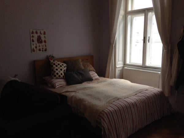 I'm offering my 28m2 room in a 120m2 apartment in the 8th district of vienna wit Vienna, Austria 28m2 centrally located room Private room in rental unit vacation rental 6210938