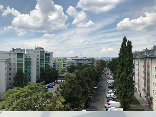 To rent is a 14 m2 room in a shared apartment. There is a lot of light in the af Vienna, Austria Lorystrasse room Private room in rental unit vacation rental 24792820