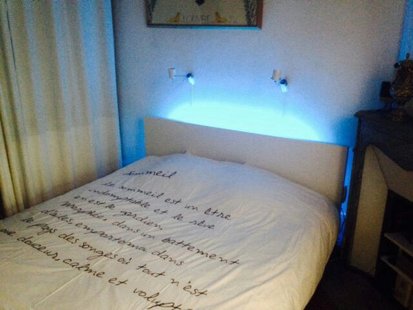 In a beautiful Haussmann-style building in front of the park of Buttes Chaumont  Paris, France Bedroom near Buttes Chaumont park Private room in rental unit vacation rental 11034796