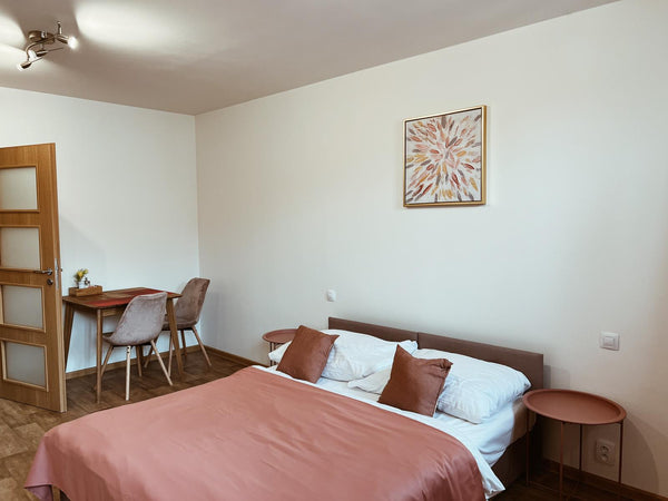 Prague, Czechia Lovely apartments Happy Days in the center Entire rental unit vacation rental 653410486060449976