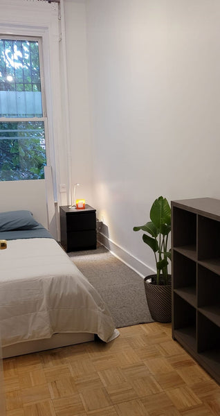 Kick back and relax in this calm, comfortable space. New York, NY Rental unit in Brooklyn · 3 bedrooms · 3 beds · 2 baths Private room in rental unit vacation rental 52628045