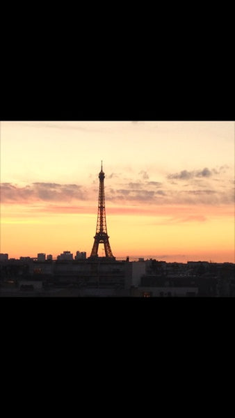 Mon logement est proche de Montparnasse . Mon logement est parfait pour les coup  Appartement avec balcon vue sur Tour Eiffel Entire rental unit vacation rental 13824870