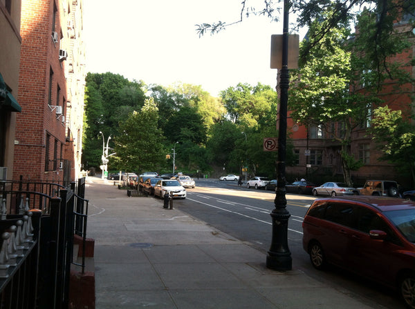 Spacious 1 bedroom co-op just 1/2 block from Central Park. Near Morningside & Ri New York, NY Rental unit in New York · ★3.29 · 1 bedroom · 1 bed · 1 bath Entire rental unit vacation rental 4091823