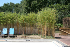 Au calme en bordure de foret ...FETES INTERDITES<br />11 KMS DE L AEROPORT<br /> Martignas-sur-Jalle, France chambre 2/5 pers   aéroport, bordeaux,bassin,océan Private room in home vacation rental 20391521