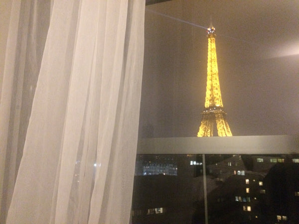 You alone with the sky and the Eiffel Tower, each morning stay in the leather be Grand Case, St. Martin Unique Eiffel Tower and Paris views Entire condo vacation rental 3551243