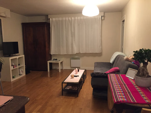 Agréable appartement, Paris 14 situé proche denfert-rochereau. Vous aurez accès  Paris, France Denfert-rochereau, bel appartement spacieux Private room in rental unit vacation rental 30121696