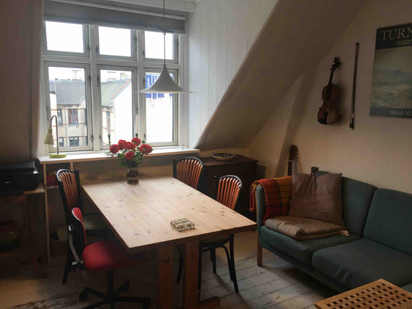 What you don't get of luxury in this very small and humble apartment under the r Copenhagen, Denmark Bohemian 5.th floor Nørrebro apartment Entire rental unit vacation rental 35540246