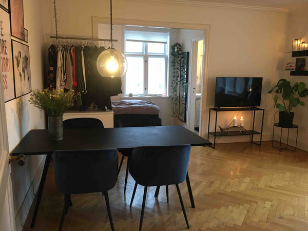 Lovely apartment nearby the town, Copenhagen zoo,<br />Frederiksberg garden and  Copenhagen, Denmark Apartment nearby the town and  Copenhagen Zoo Entire rental unit vacation rental 26194285
