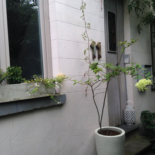 <b>The space</b><br />Charmante maison meublée avec goût située dans un piétonni Uccle, Belgium Charmante maison meublée avec goût Entire home vacation rental 1255240