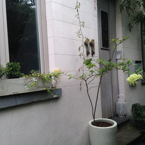 <b>The space</b><br />Charmante maison meublée avec goût située dans un piétonni Uccle, Belgium Charmante maison meublée avec goût Entire home vacation rental 1255240