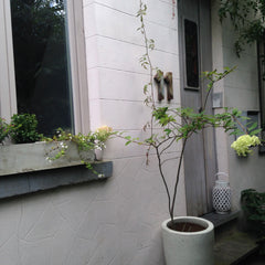 <b>The space</b><br />Charmante maison meublée avec goût située dans un piétonni Uccle, Belgium Charmante maison meublée avec goût Entire home vacation rental 1255240