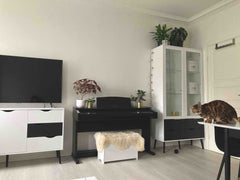 Five minutes to the bus, subway, shopping mall etc. Fifteen minutes from the air Amagerbro, Denmark Close to everything! Private room in condo vacation rental 2007532