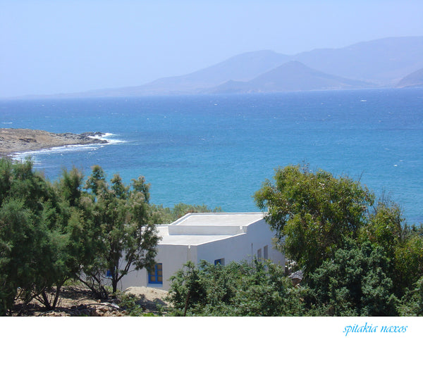 30m distance to the sea, 5km to the Town, 1Km to the famous beach of St. Prokopi Naxos, Greece Spitakia naxos (cottage) Cycladic home vacation rental 12690045