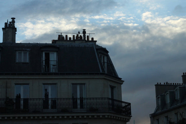 Come and discover the lively 18th district! An up-and-coming, artistic, trendy a Cuzorn, France Room in  flatshare near Montmartre Private room in rental unit vacation rental 9397767