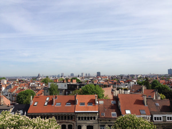 Our charming and classy one bedroom penthouse apartment has two giant terraces,  Brussels, Belgium Lovely Panoramic Penthouse Entire rental unit vacation rental 4799365