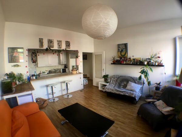 Grand appartement de 50m² situé dans le 6ème arrondissement à proximité du centr Geneva, Switzerland Jungle lyonnaise (T2 50m² Lyon 6) Entire rental unit vacation rental 26412788