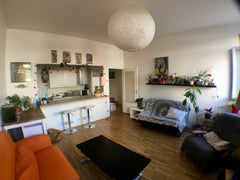 Grand appartement de 50m² situé dans le 6ème arrondissement à proximité du centr Geneva, Switzerland Jungle lyonnaise (T2 50m² Lyon 6) Entire rental unit vacation rental 26412788