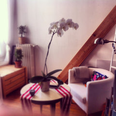 Great space & energy in this apartment! You will share it with Arthur, 27 year-o Paris, France Cozy room near Buttes Chaumont park Private room in rental unit vacation rental 4955320