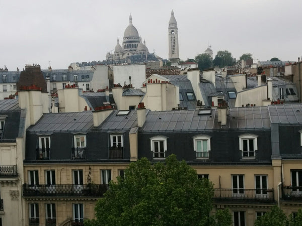Petit deux-pièces à 40 mètres du métro Chateau-Rouge. Très belle vue sur la Butt  Deux-pièces Paris 18ème Entire rental unit vacation rental 20415202
