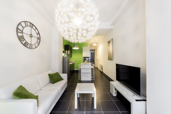 Close to public transport, the Edouard Herriot hospital center and the Monplaisi  Quiet apartment - popular Montchat area Entire rental unit vacation rental 36217526