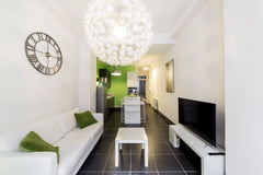 Close to public transport, the Edouard Herriot hospital center and the Monplaisi  Quiet apartment - popular Montchat area Entire rental unit vacation rental 36217526