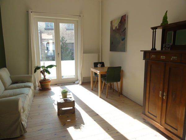 Deux pièces en enfilade avec kitchenette, petite salle de bain & terrasse. Fraic Brussels, Belgium le petit coin vert à bruxelles Entire rental unit vacation rental 5427562