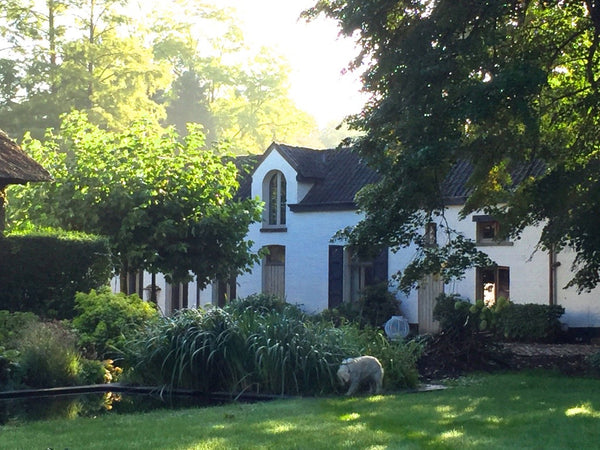 De woning uit 1899, is het voormalige koetshuis,  vroeger behorende bij een kast Brasschaat, Belgium Het Koetshuis in t groen, Brasschaat/Antwerpen Barn vacation rental 22715236