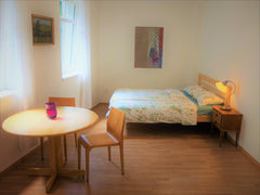 Welcome in Prague! Come and relax in real oasis! Very cosy and quiet flat with s  Congress center Apt. with Sauna Bright&Quiet Entire rental unit vacation rental 19208229