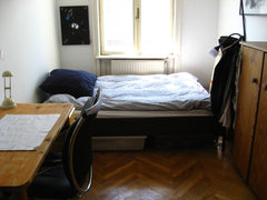 you are sharing the flat with three lovely students ( two female,one male). The  Vienna, Austria cosy room in a shared flat Private room in rental unit vacation rental 6444019