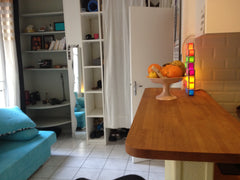 The apartment is 19m2 big and has been renovated one year ago. You will have all Craponne-sur-Arzon, France Charming studio near Montmartre Entire rental unit vacation rental 10038031