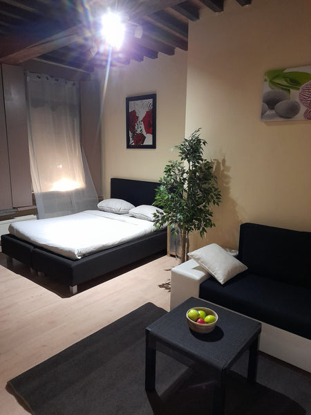 Wonderful studio in the heart of Antwerpen.  2 minutes to walk to the Groot Mark Antwerp, Belgium Cute,cosy studio in the heart of Antwerpen. Entire rental unit vacation rental 551433948697273920