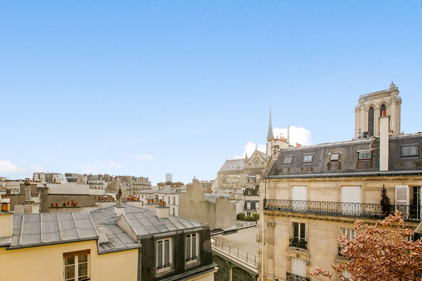 Most central and unique location in the true heart of Paris, The Île de la Cité. Paris, France Notre-Dame Panorama  in the very Heart of Paris Entire guest suite vacation rental 7082833
