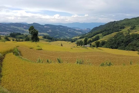 Private Overnight Tour to Yuanyang Rice Terraces from Kunming  Private Tours and Travel Guide Asia Shanghai CITY Kunming Destination Tour