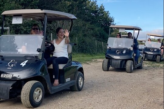 Golf Buggy Safari Wine Tour of Sussex With South African BBQ  Private Tours and Travel Guide Europe London CITY Brighton Destination Tour