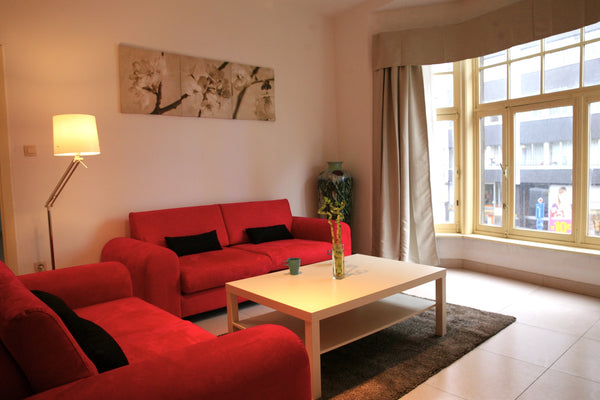 <b>The space</b><br />D<br /><br /><b>Guest access</b><br />C<br /><br /><b>Othe Antwerp, Belgium 101、Antwerp central station's charming apartment Entire rental unit vacation rental 10170353