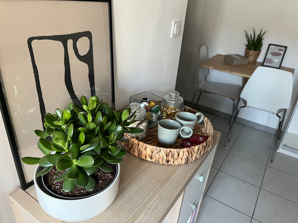 Notre studio saura vous apporter à la fois le calme et l'effervescence du coeur  Saint-Pierre-la-Palud, France Petit cocon au coeur du 1er arrondissement de Lyon Entire rental unit vacation rental 669991497312670169