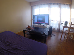 bel appartement balcon salle de dain baignoire ecran tv 160 cm internet fibre op  studio lyon centre Entire rental unit vacation rental 10080190